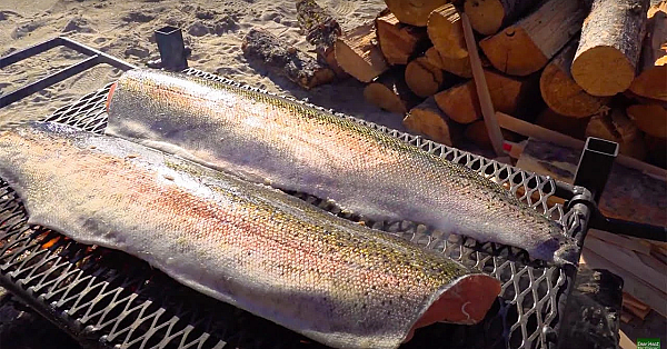 Wild Trout  Over Open Fire {catch Clean Cook} Hells Canyon