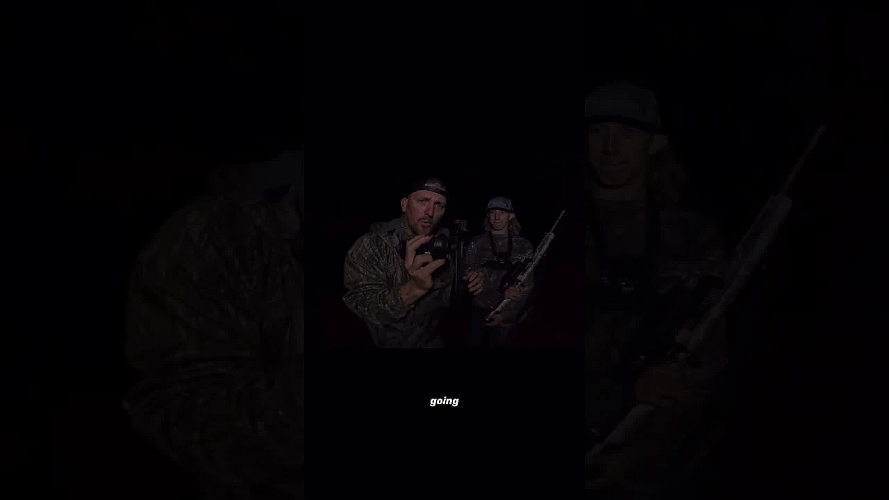Thermal Hog Hunt #shorts #hunting #wildlife #viral #foryou