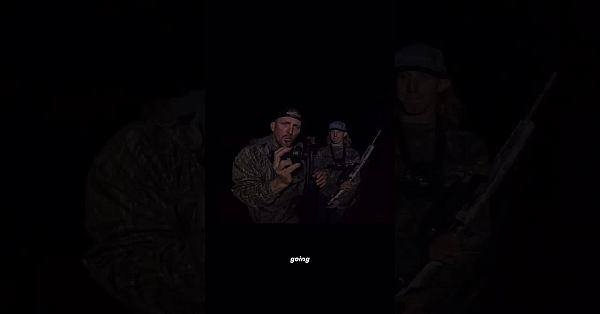 Thermal Hog Hunt #shorts #hunting #wildlife #viral #foryou