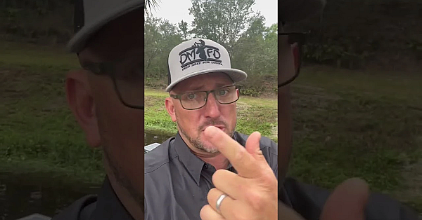 Signed Dmfd Hats And Shirts! Ready To Go!