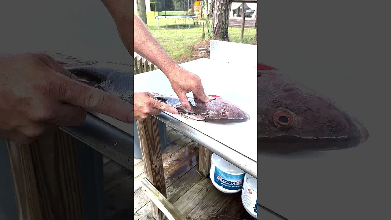 Let Me Show You A Trick! #shorts #fish #dinner