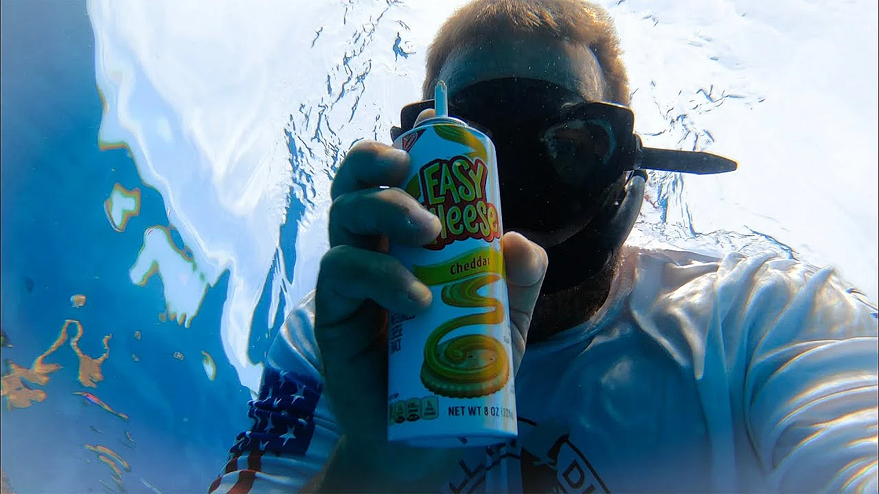 Fish Love Easy Cheese! #shorts