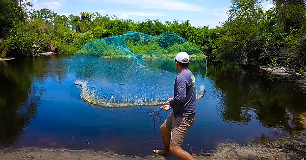 What Lives In This Little Pond? {let's Find Out!} Cast Netting 1000's Of Fish