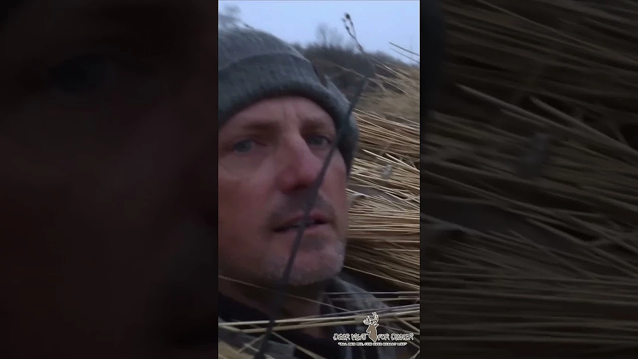 Epic Wild Bull Elk Encounter! #elk #shorts