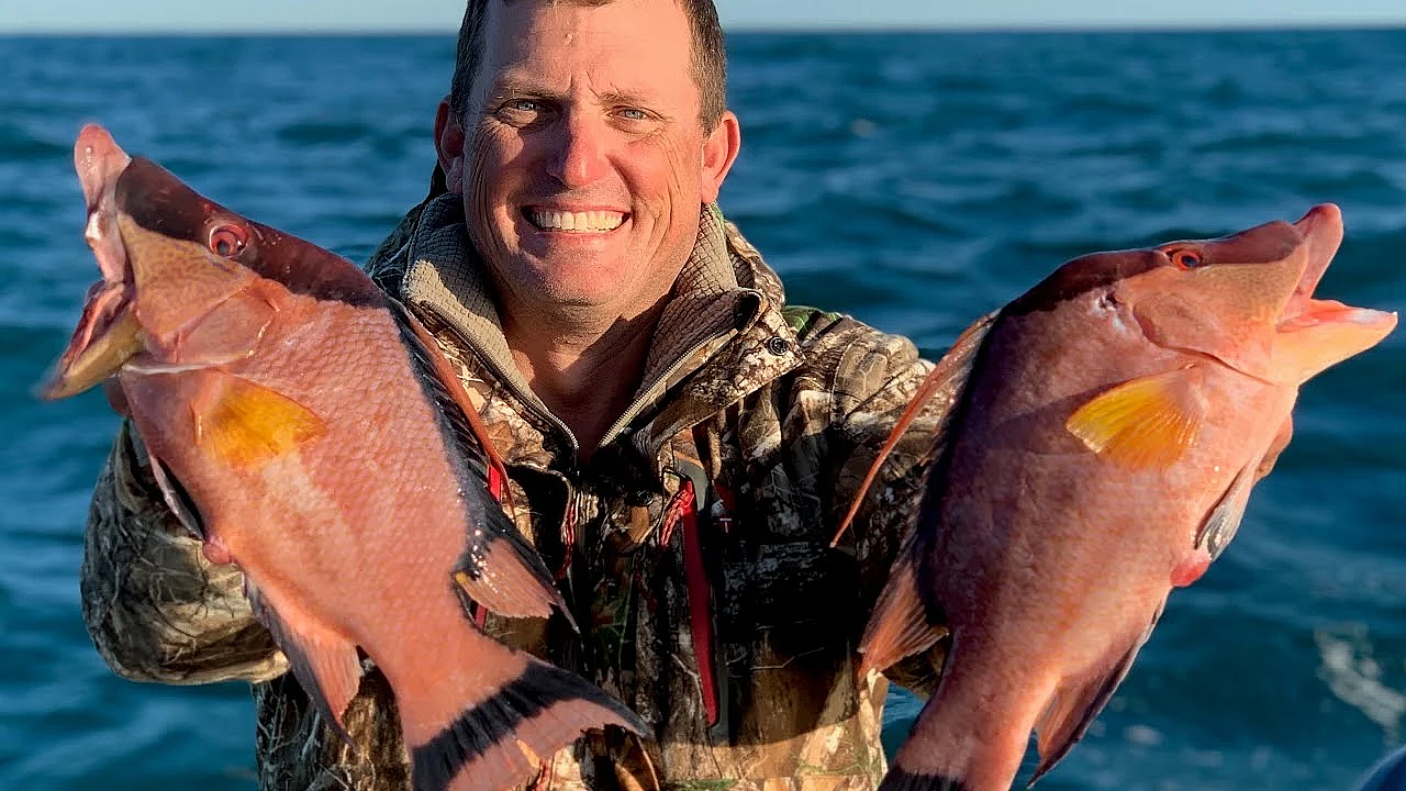 Hogfish {catch Clean Cook} My All-time Favorite Fish To Eat!!!