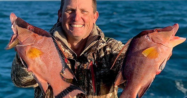 Hogfish {catch Clean Cook} My All-time Favorite Fish To Eat!!!