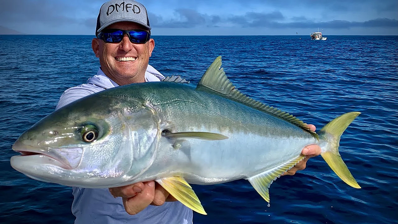 Pacific Yellowtail {catch Clean Cook} Mag Bay, Mexico