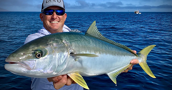 Pacific Yellowtail {catch Clean Cook} Mag Bay, Mexico