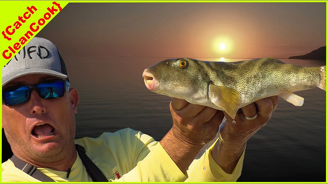 Whopper Size Toadies {catch Clean Cook} Drum Stick Of The Sea!