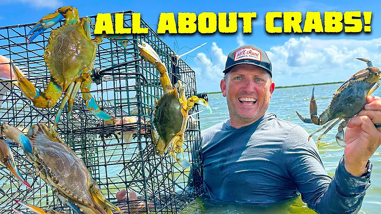 Crabbing Made Easy! {catch Clean Cook}