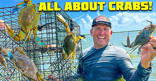 Crabbing Made Easy! {catch Clean Cook}