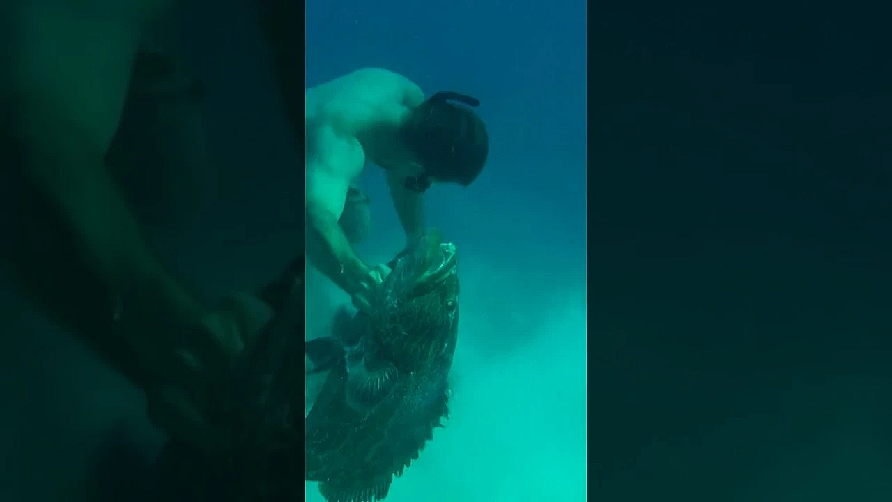 A Country Boy Can Survive! #shorts #viral