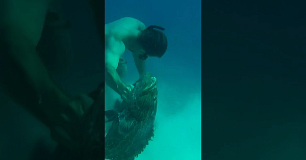 A Country Boy Can Survive! #shorts #viral