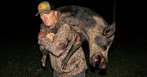 Massive Wild Boar With Traditional 50 Cal. Black Powder! {catch Clean Cook} Smoke N' Fry Wild Boar