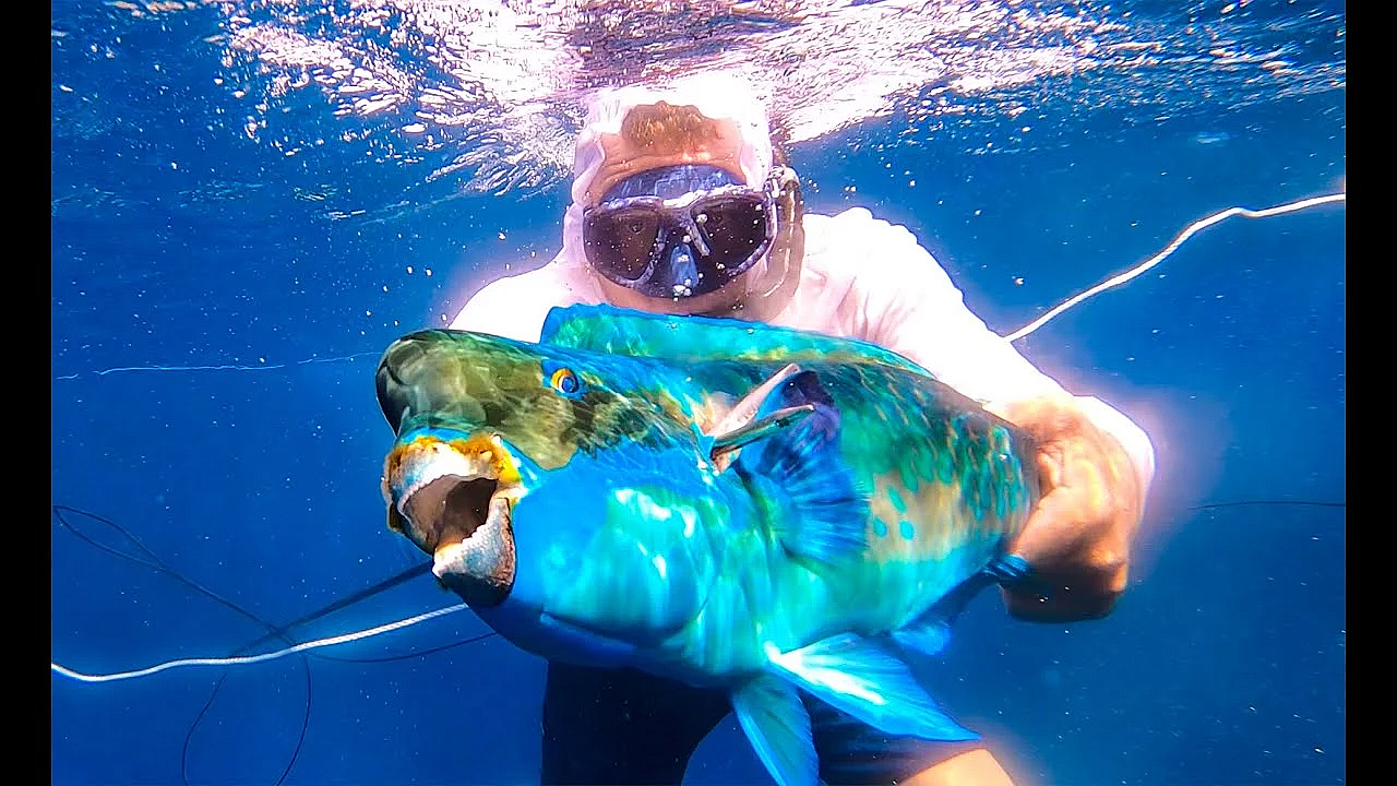 Spearfishing On Ultra-remote Island {catch Clean Cook} Pagan, Cnmi