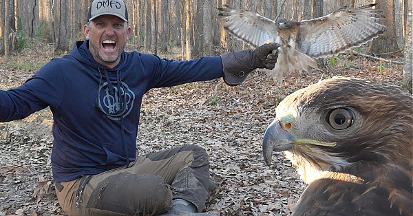 Hunting With Wild Hawks! {catch Clean Cook} Alabama Hawking