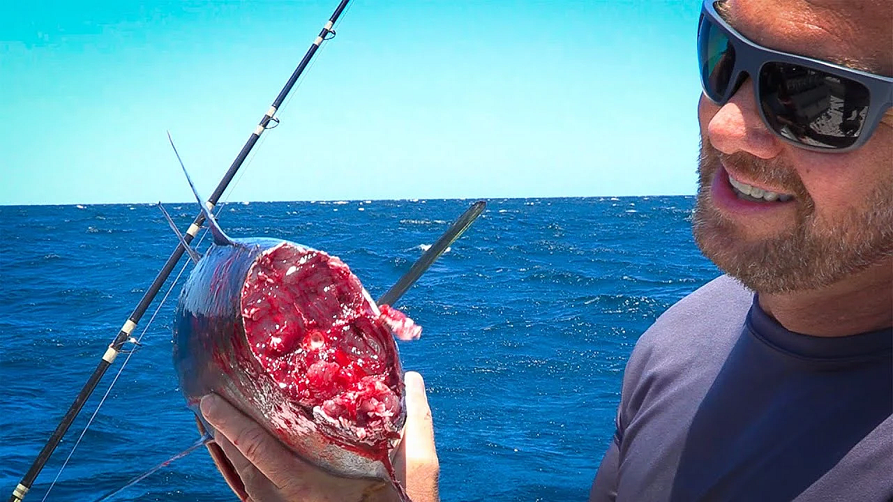 Massive Shark Eats Half Our Tuna! {catch Clean Cook} We Eat The Other Half