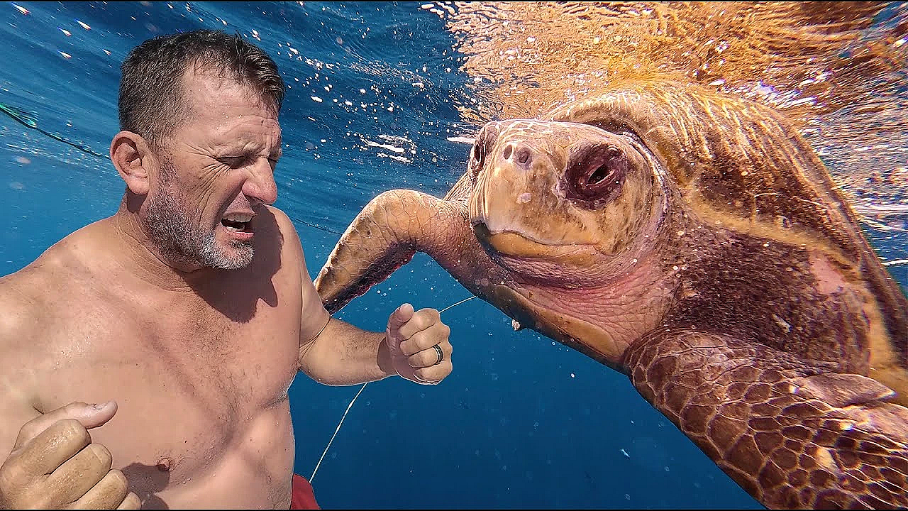 Giant Sea Turtle Attack! Caught On Camera!