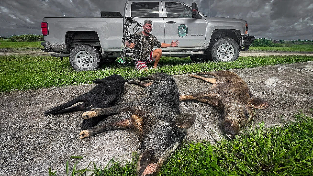 Public Land Hog Hunt In The Middle Of Hurricane Debbie! {catch Clean Cook}