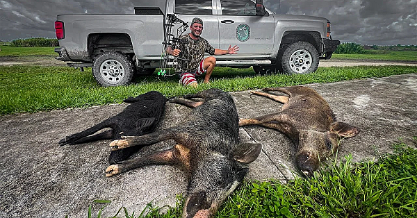 Public Land Hog Hunt In The Middle Of Hurricane Debbie! {catch Clean Cook}