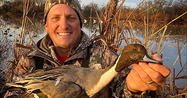 1000's Of Pintails!!!! {catch Clean Cook} Duck Breast Seared In Duck Fat