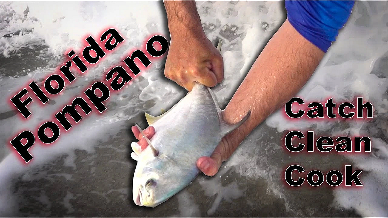 Catching Monster Pompano On Sand Fleas! {catch Clean Cook} Baked Pompano Almandine