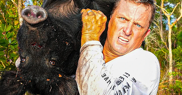 Trapping Wild Boars In Florida! (fixing The Wild Hog Problem)