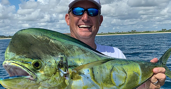 Mahi And Lobster {catch Clean Cook} How To Make Crunchy Fish Fingers