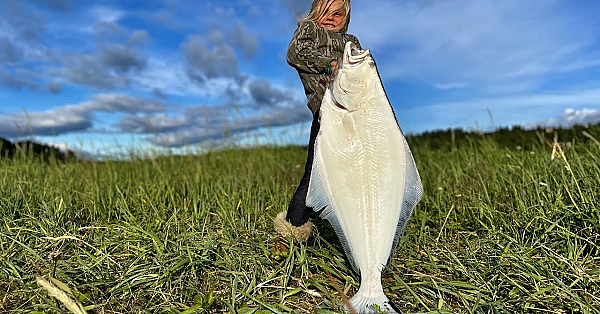 Aria Caught Her Dream Fish {catch Clean Cook} Alaskan Flat Fish