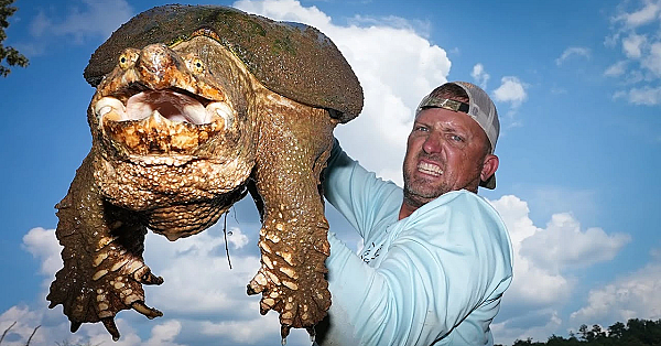 Very Scary Turtle {catch Clean Cook} Snapping Turtle That’s Fast As Lightning!