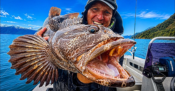 Huge Fish On a RENTAL BOAT! {Catch Clean Cook} Seward, Alaska￼
