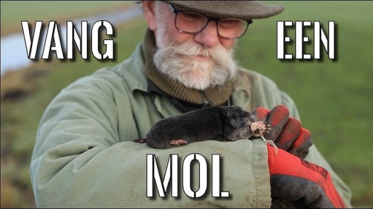 Jagen Met Eduard - Ik Heb Respect Voor De Mol