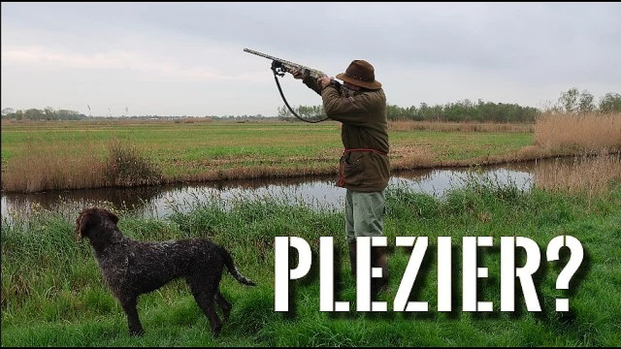 Jagen Met Eduard - Het Stikt Hier Van De Aalscholvers
