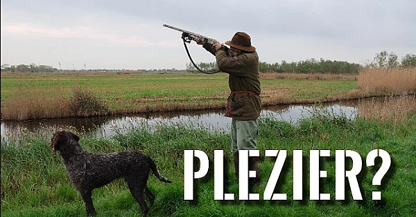 Jagen Met Eduard - Het Stikt Hier Van De Aalscholvers