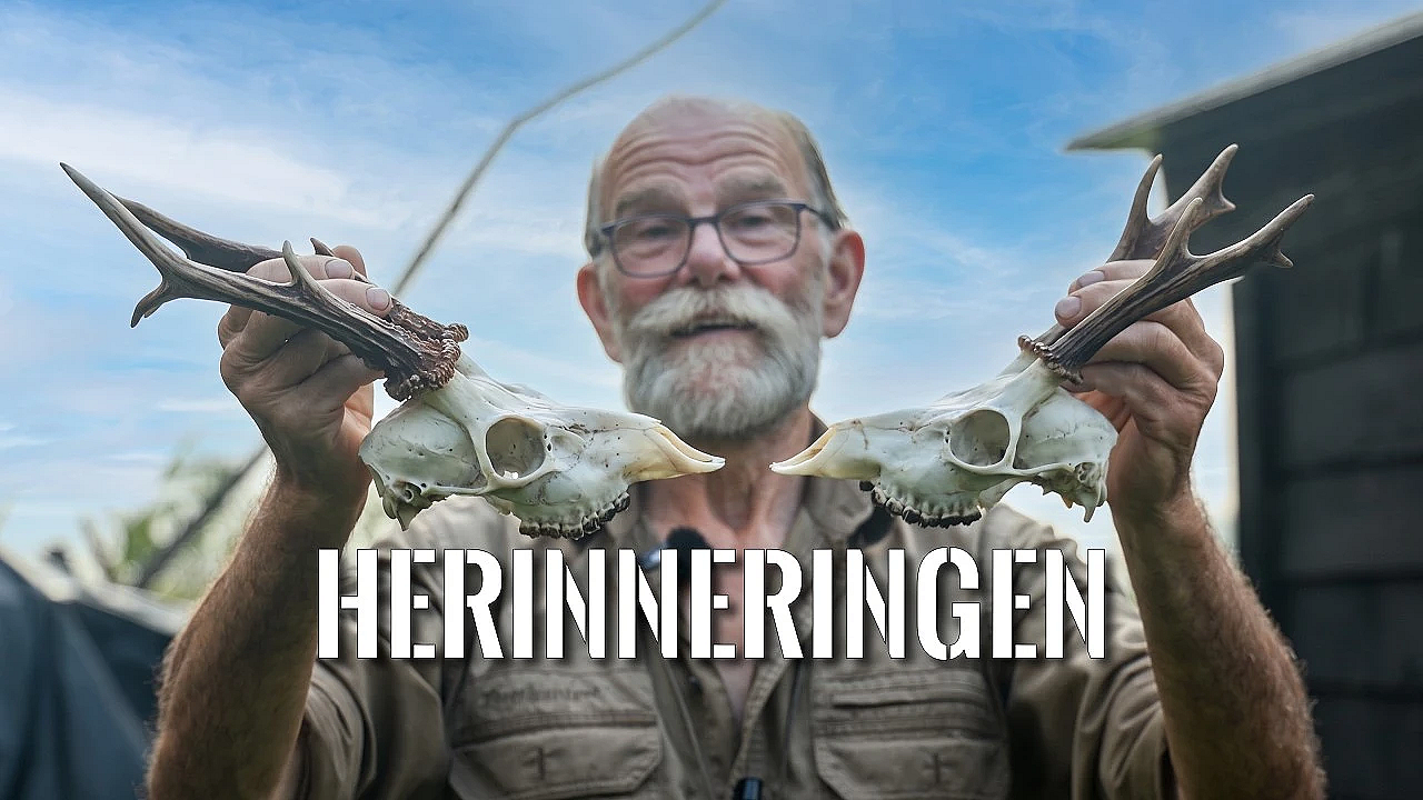Dit is Hoe Ik een Schedel Schoonmaak