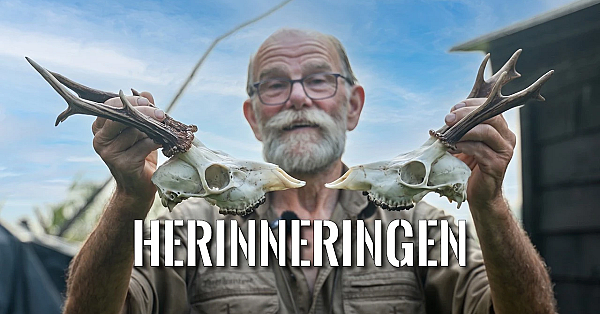Dit is Hoe Ik een Schedel Schoonmaak