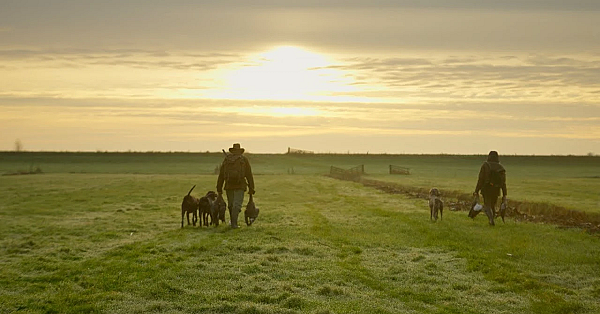 Jagen Met Eduard De Jachthond
