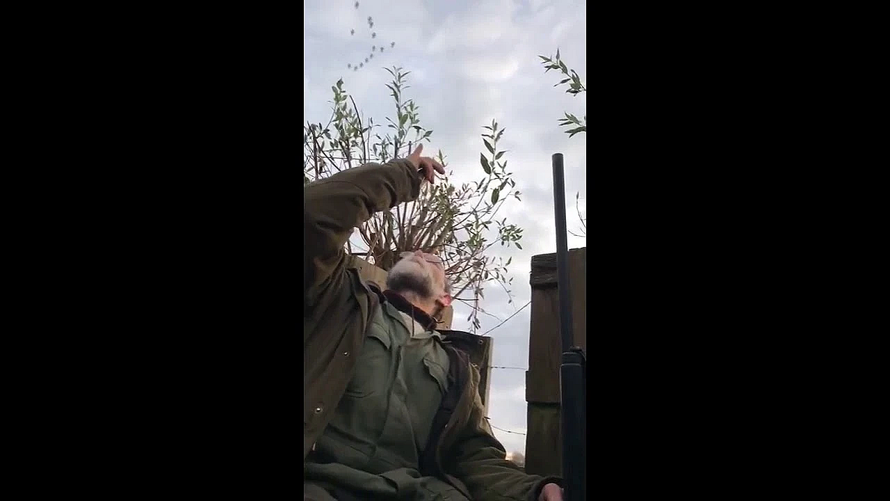 Geese Hunting Near Amsterdam