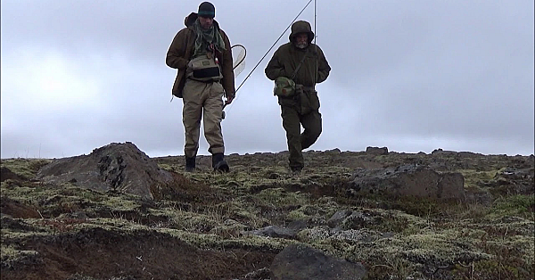 Ik Ga Ongeveer Al Mijn Ijsland Filmpjes En Ervaringen Laten Zien