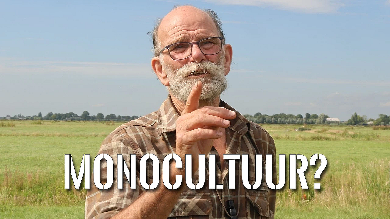Ze Zeggen Dat Er Niks Leeft in de Polder