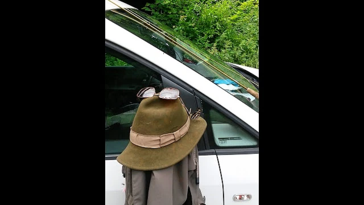 Grote Weerschijn Vlinder