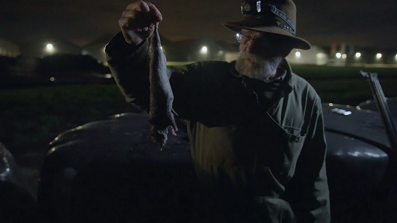 Jagen Met Eduard Ratten Schieten