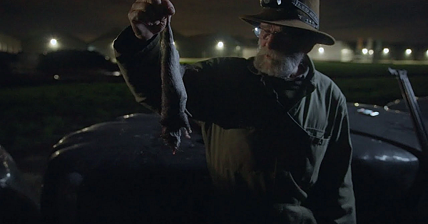 Jagen Met Eduard Ratten Schieten