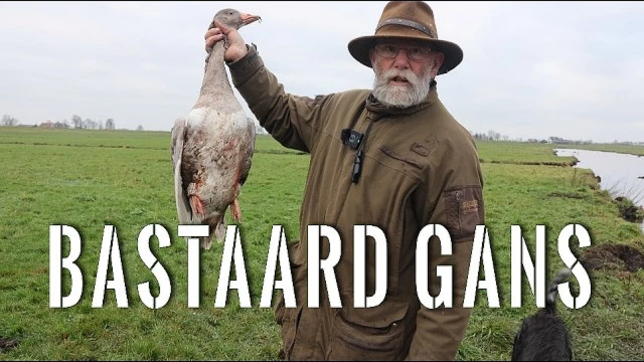 Jagen Met Eduard - Puma In De Polder?