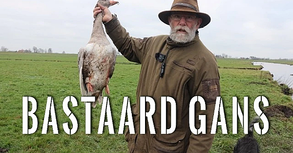 Jagen Met Eduard - Puma In De Polder?