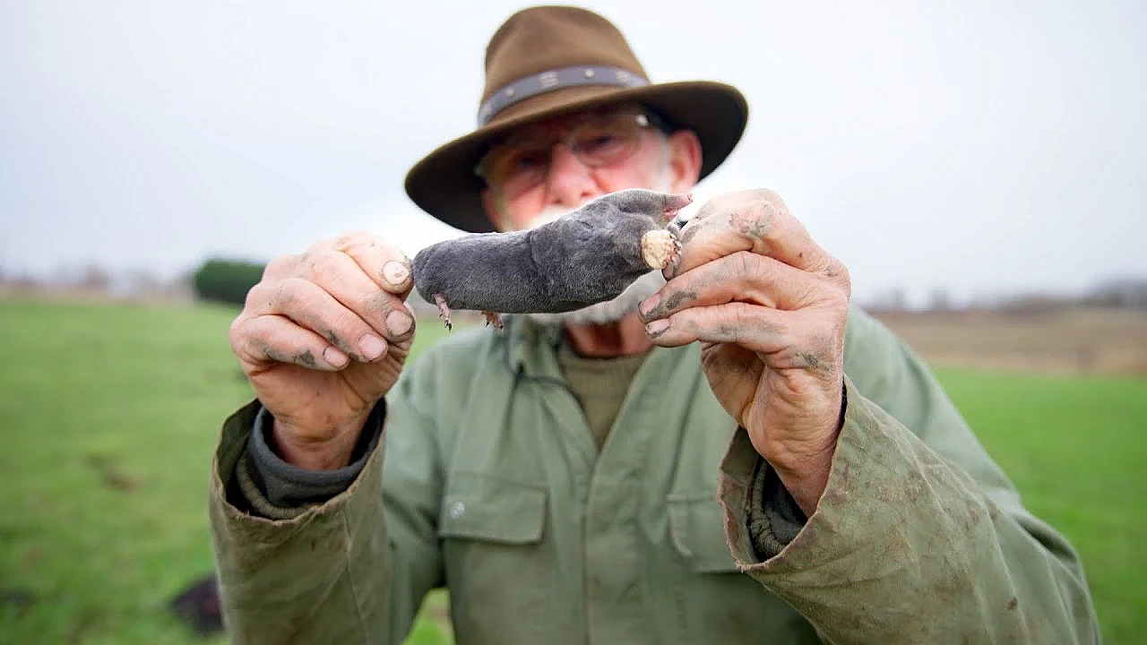 Jagen Met Eduard - Mollenvangen