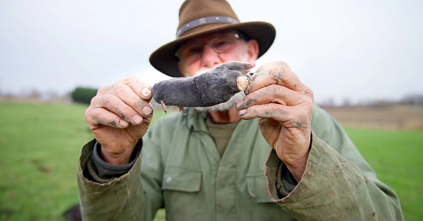 Jagen Met Eduard - Mollenvangen