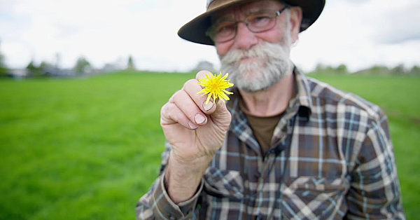 Jagen Met Eduard   Wilde Bloemen En Planten
