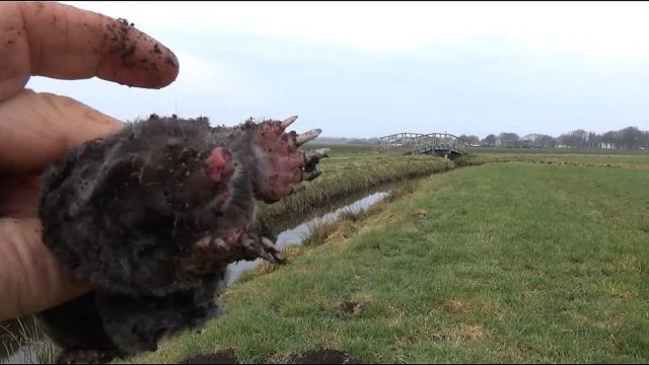 Jagen Met Eduard - Uit De Oude Doos: Mollen Vangen