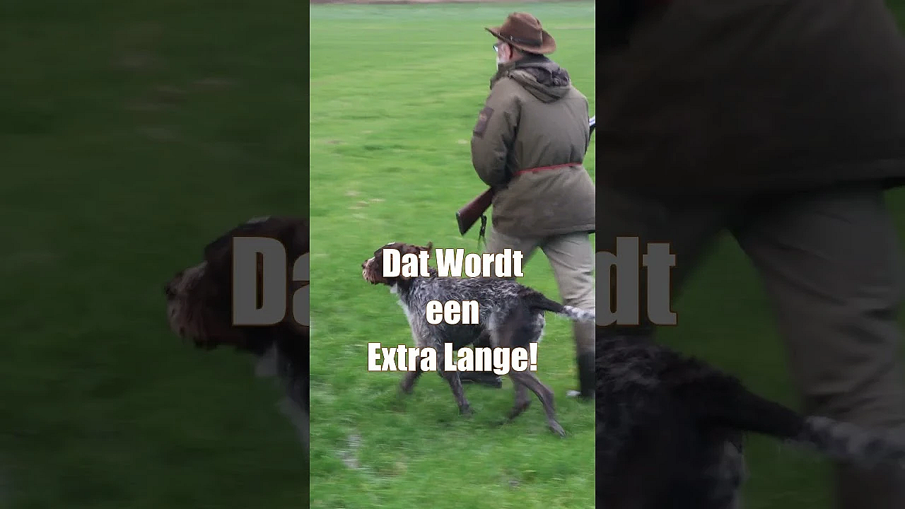 Deze Week Helaas Ge4en Aflevering, We Zijn Er Volgende Week Weer Met Een Extra Lange Film.